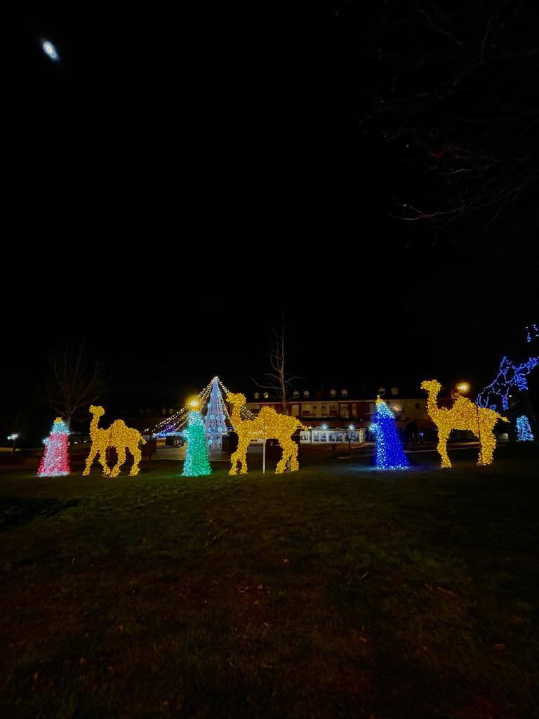 Iluminación navideña en el municipio 