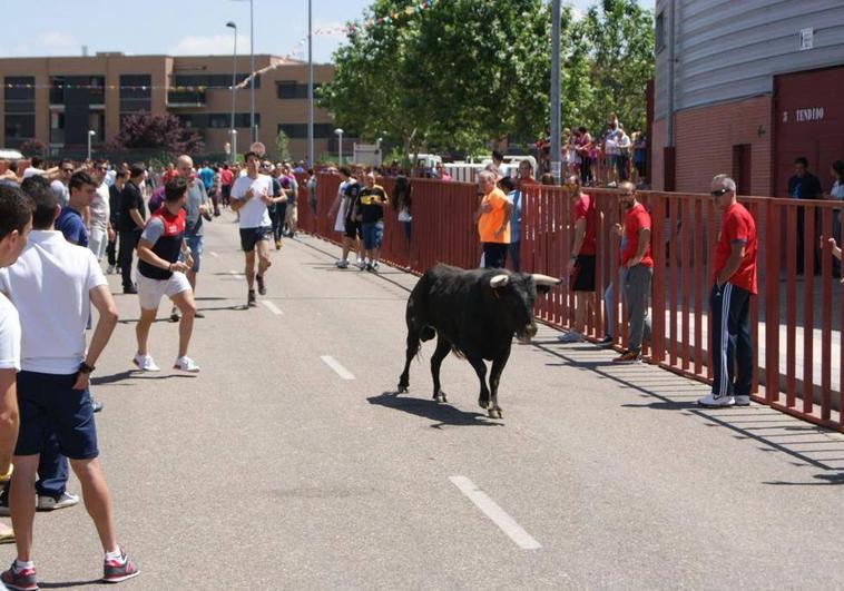 Programa de fiestas de San Antonio de Padua de La Flecha 2023