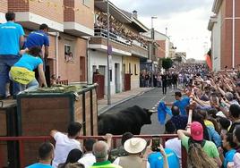 Desencajonamiento de la primera de las reses en la calle Vista Alegre con calle Ebro