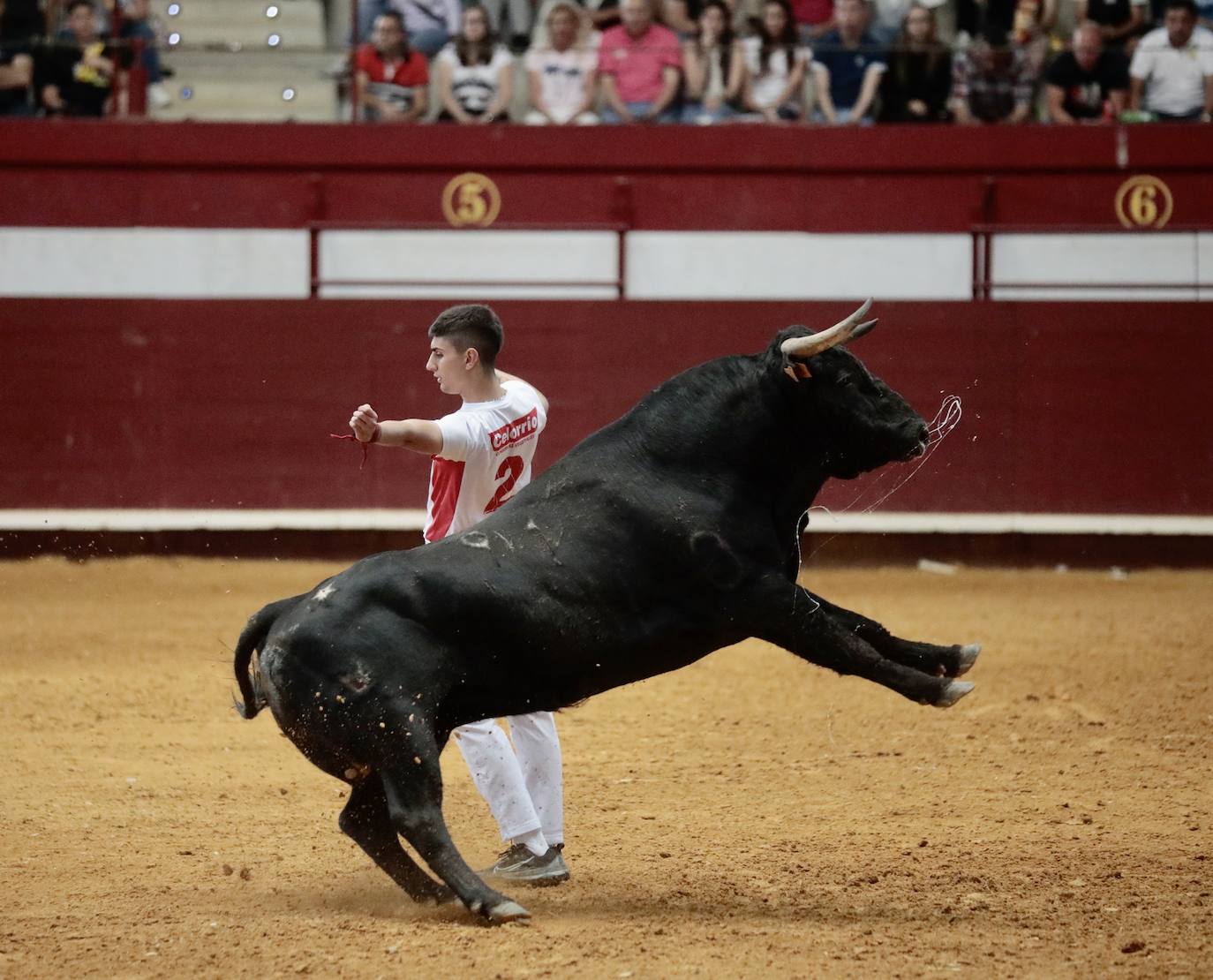 Los mejores cortadores, quebradores y saltadores se citan en Arroyo