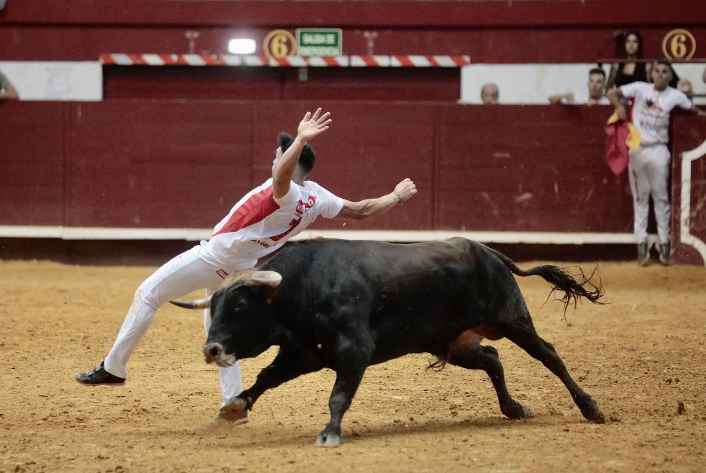 Los mejores cortadores, quebradores y saltadores se citan en Arroyo