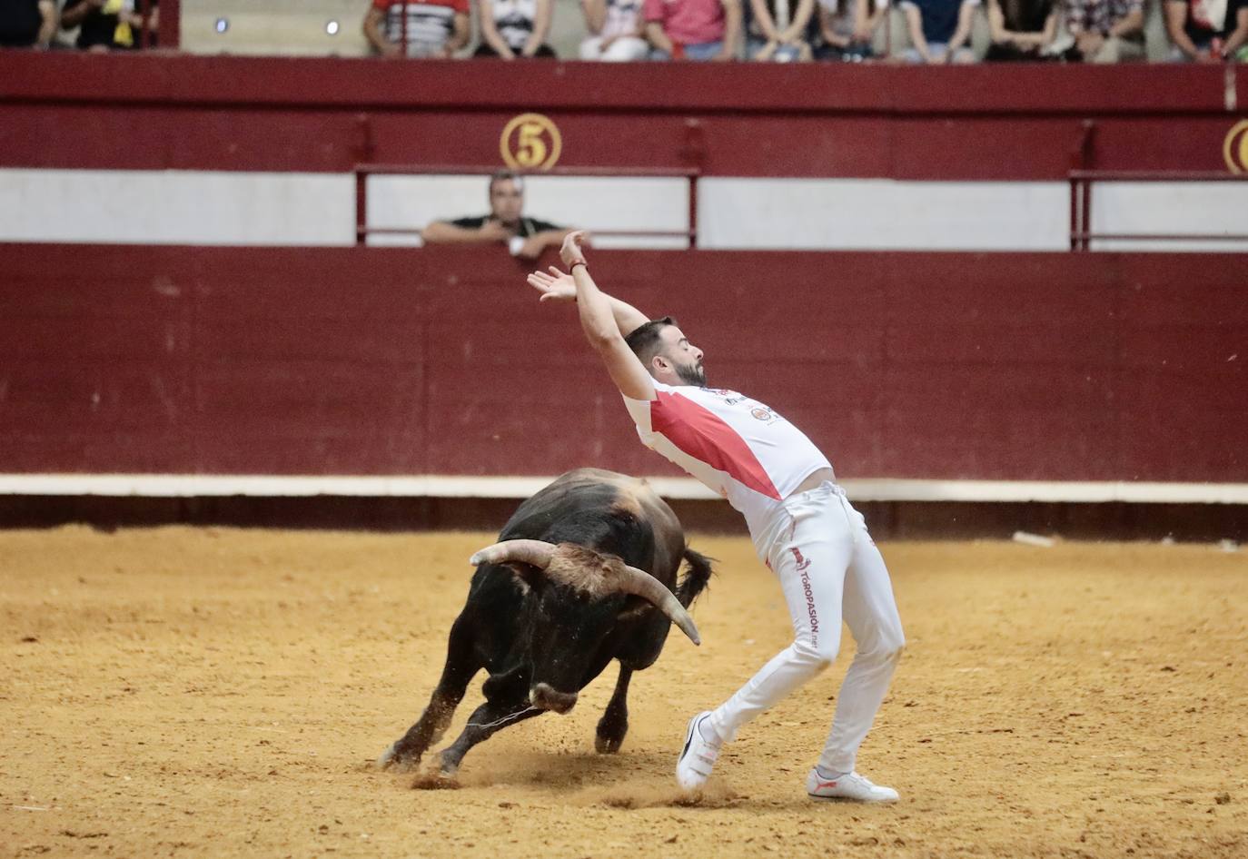 Los mejores cortadores, quebradores y saltadores se citan en Arroyo