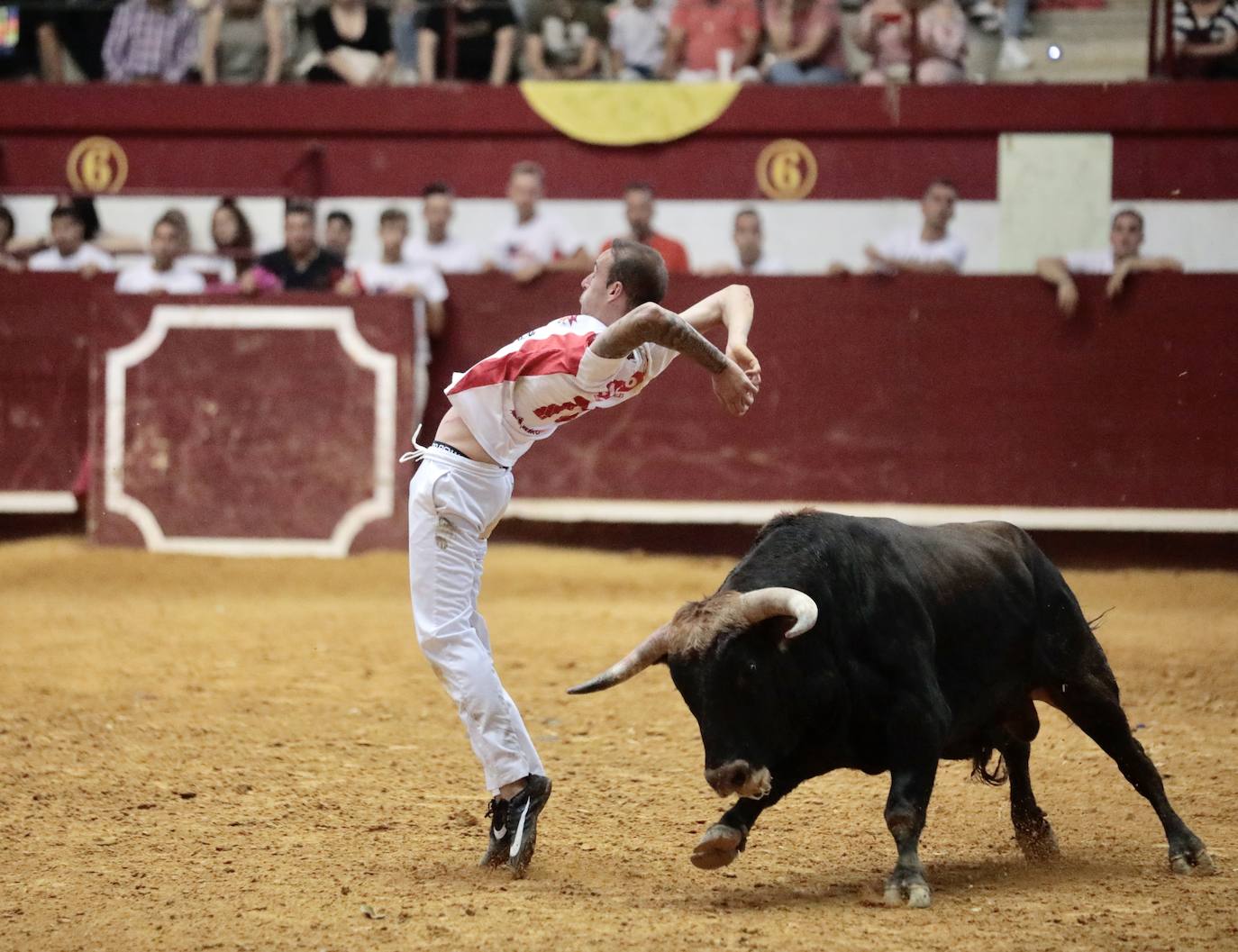 Los mejores cortadores, quebradores y saltadores se citan en Arroyo