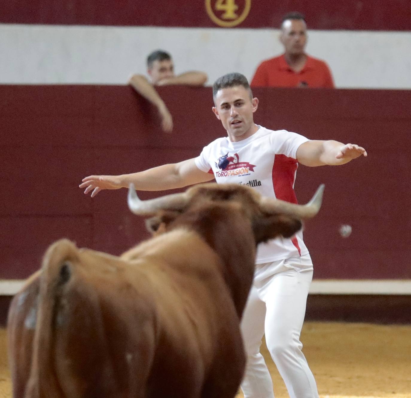 Los mejores cortadores, quebradores y saltadores se citan en Arroyo