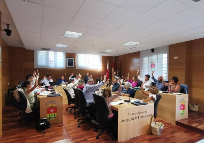 Otro de los momentos del pleno