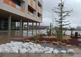 El cedro del Líbano en el centro del jardín