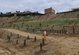 Zona donde se actuará en el Parque Estela Domínguez