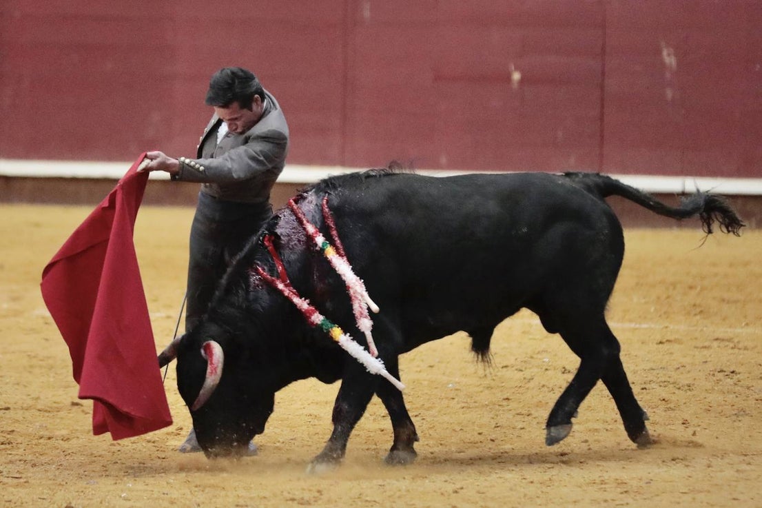 Festival taurino y solidario en La Flecha