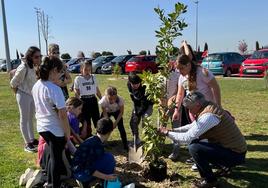 Los escolares plantando árboles con el alcalde, Sarbelio Fernández en el 'Peñódromo'