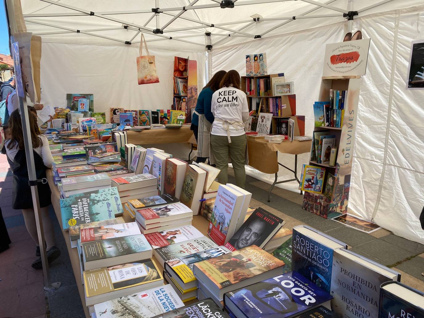 Feria del Libro de Arroyo