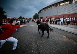 Encierro en las fiestas de San Antonio en la pasada edición