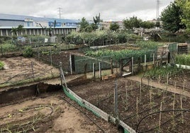 Huertos urbanos de Arroyo de la Encomienda