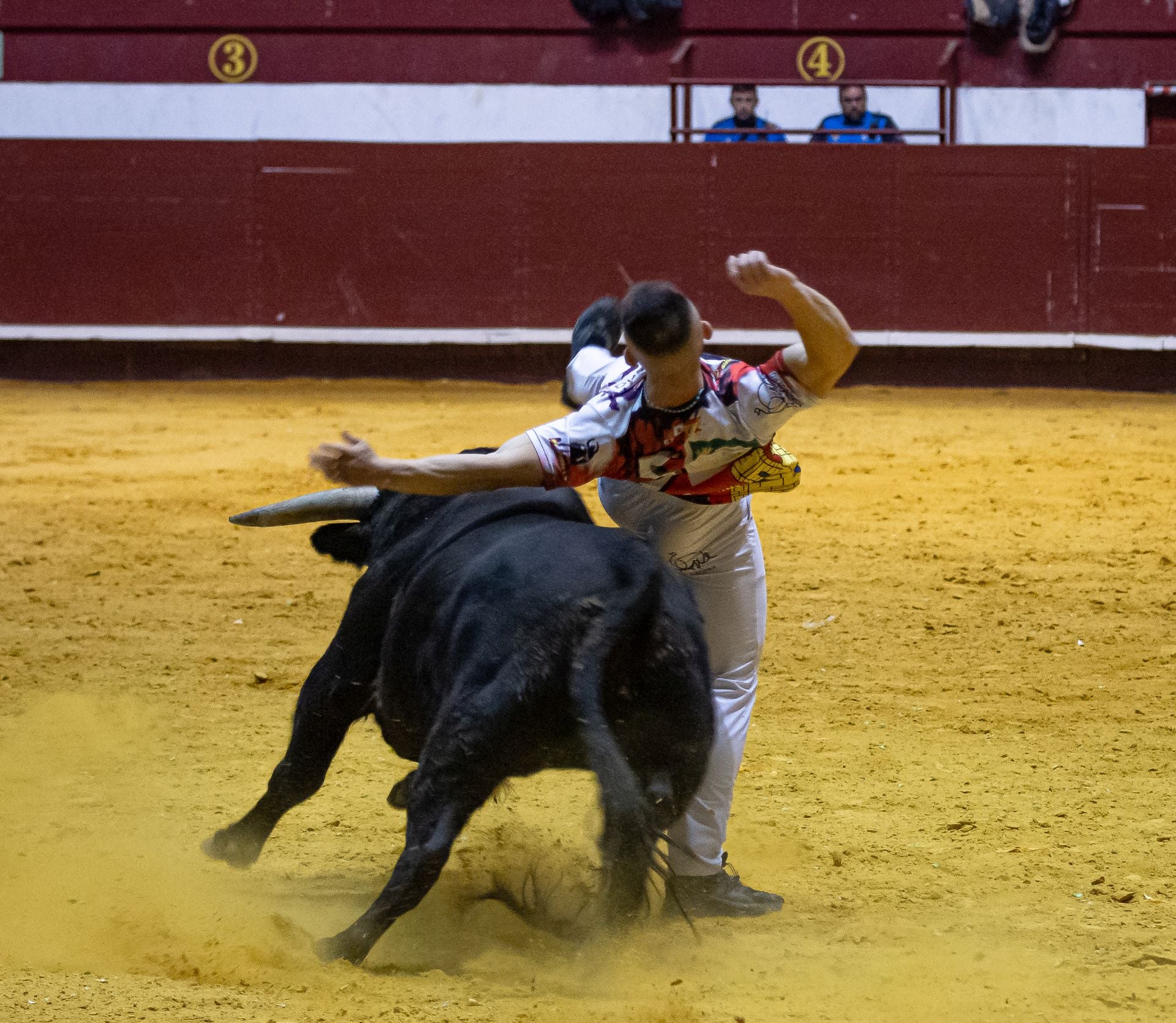 Emocionante campeonato de cortes de Castilla y León