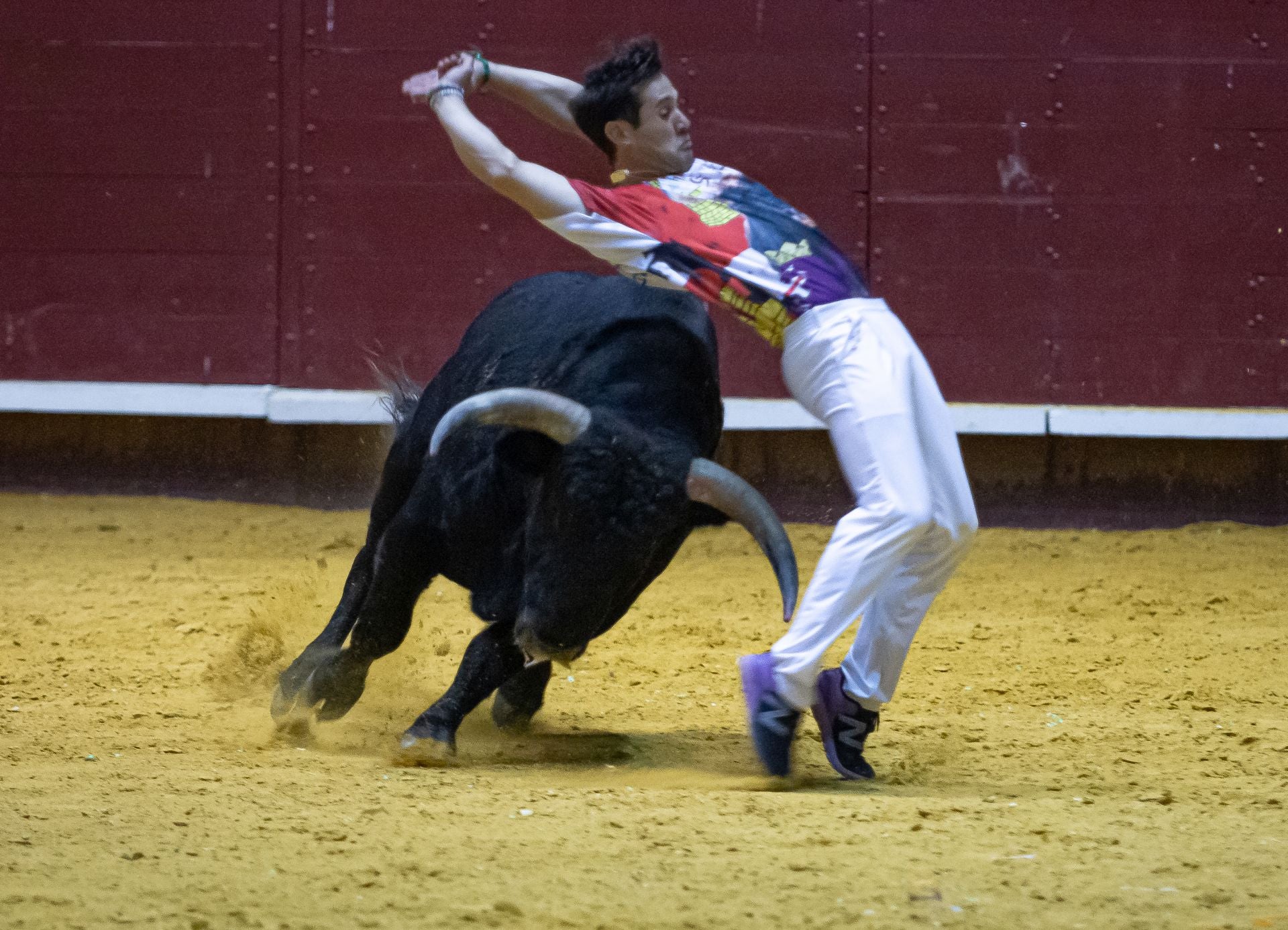 Emocionante campeonato de cortes de Castilla y León