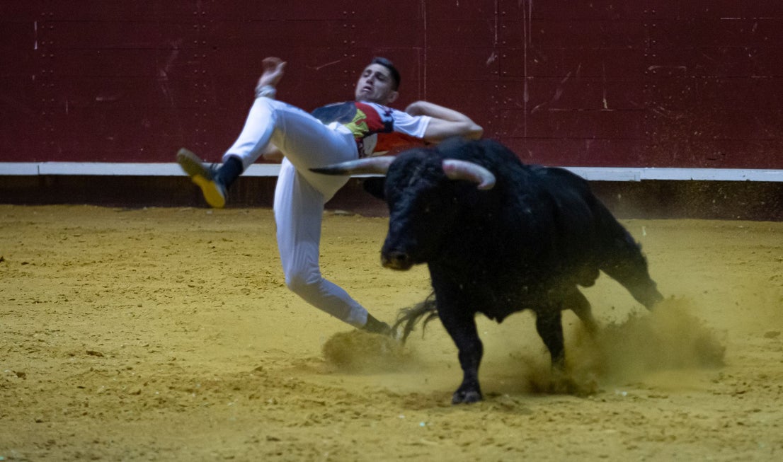 Emocionante campeonato de cortes de Castilla y León