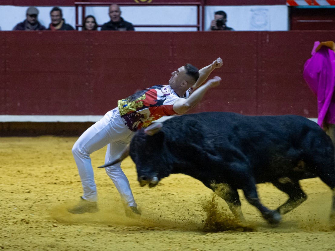 Emocionante campeonato de cortes de Castilla y León