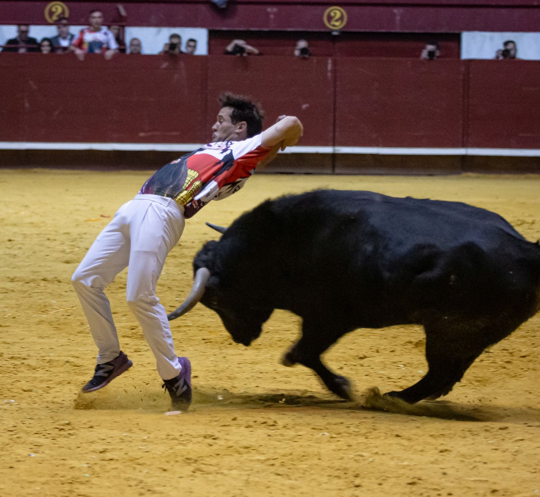 Emocionante campeonato de cortes de Castilla y León