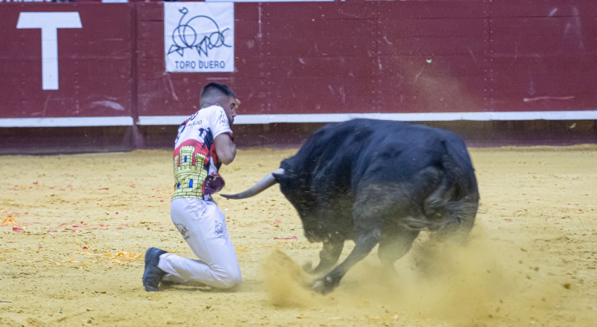 Emocionante campeonato de cortes de Castilla y León