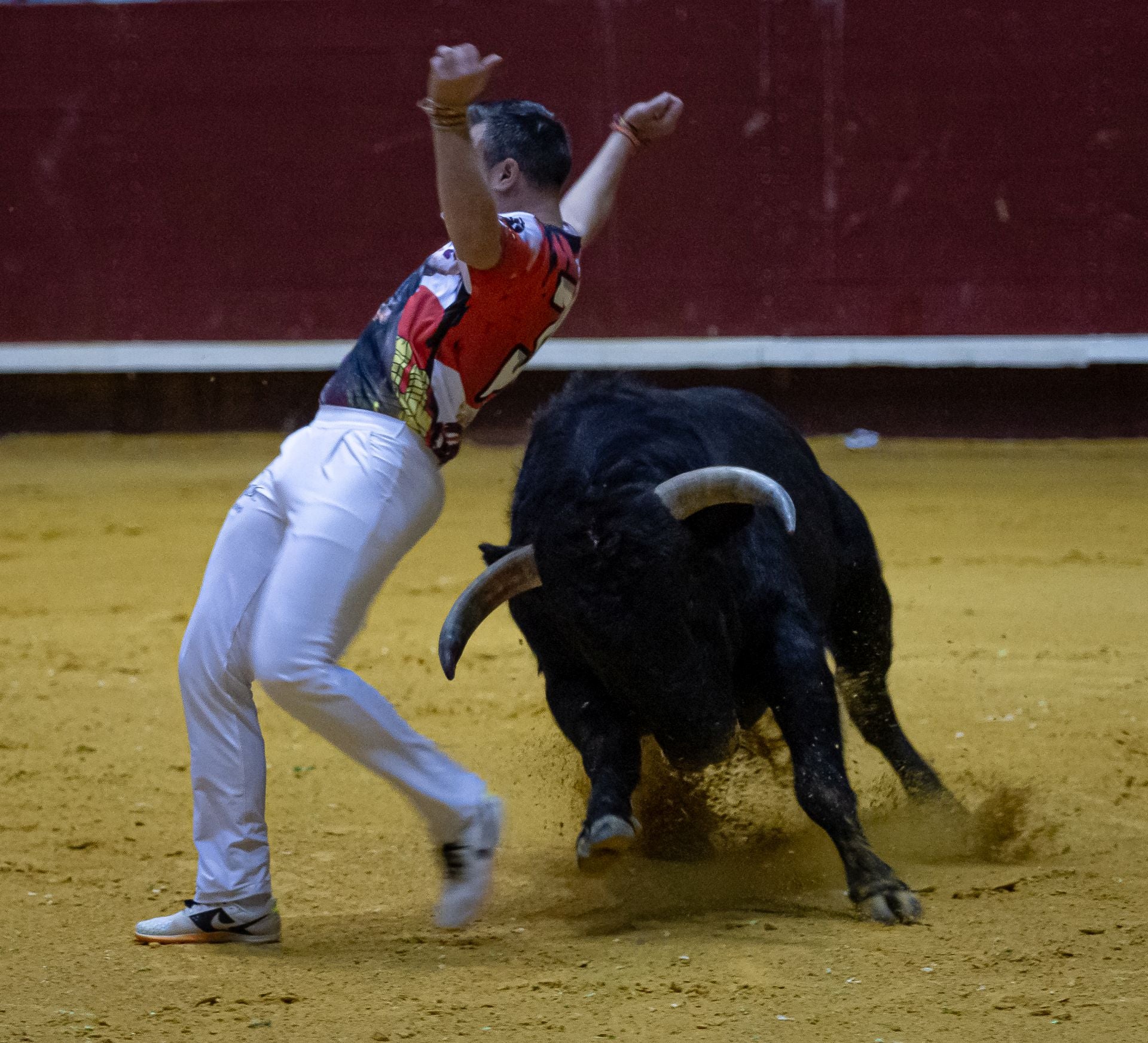 Emocionante campeonato de cortes de Castilla y León