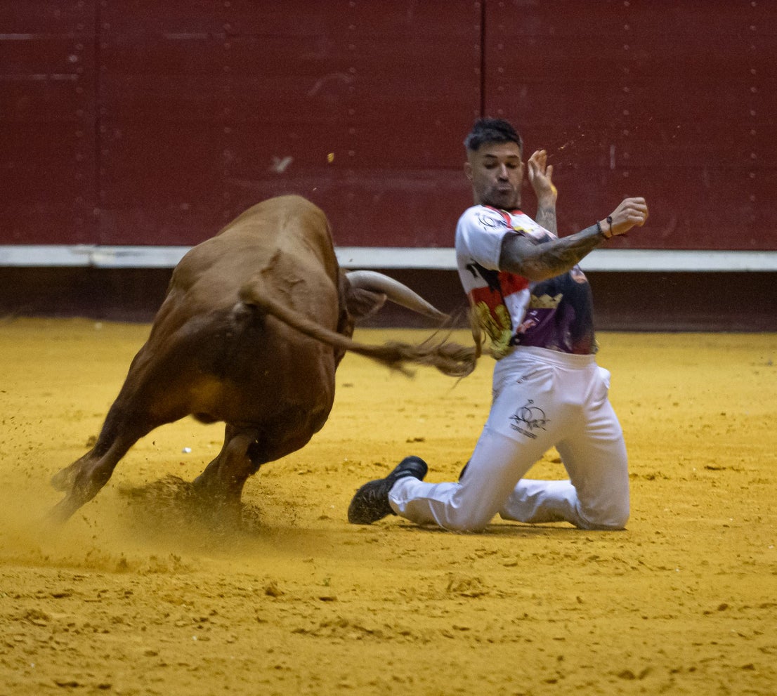 Emocionante campeonato de cortes de Castilla y León