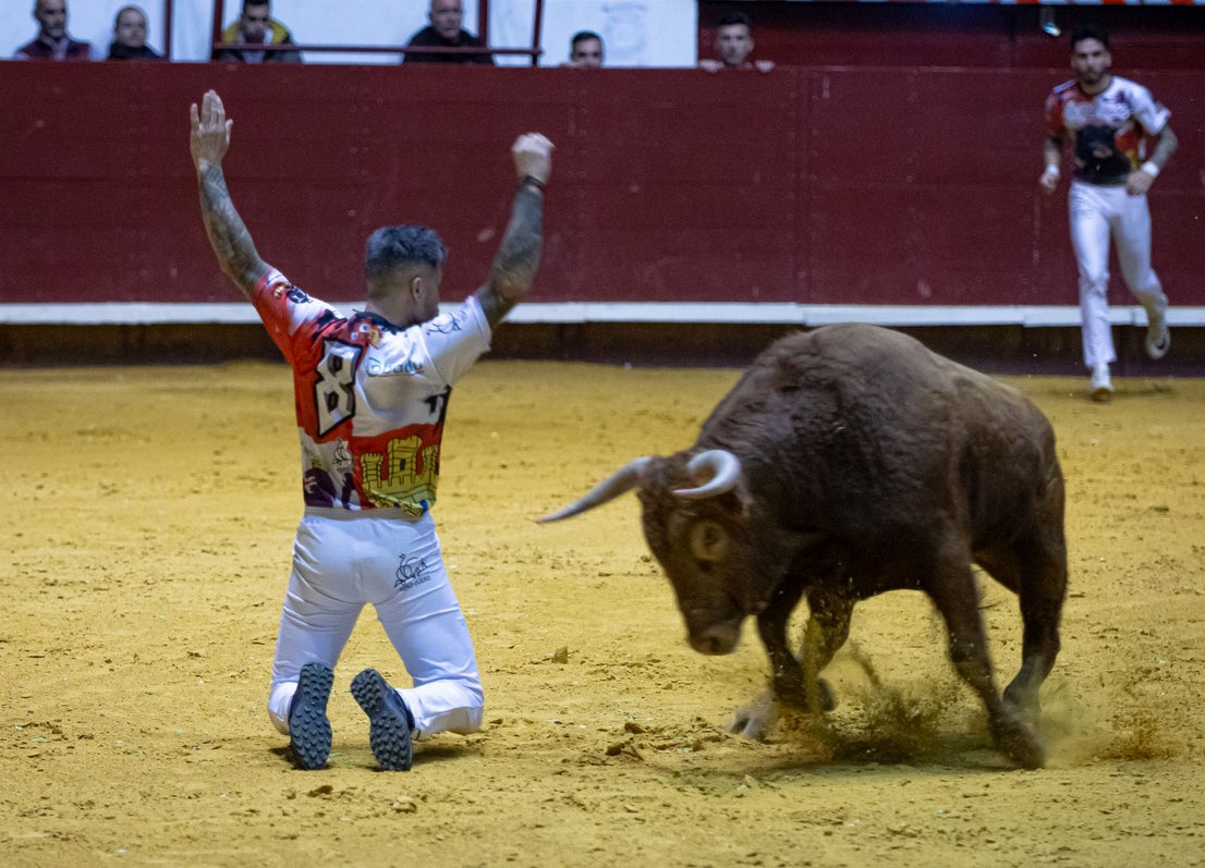 Emocionante campeonato de cortes de Castilla y León