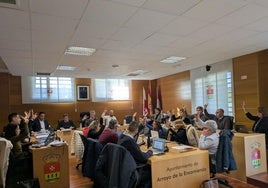 Los concejales votando durante el Pleno