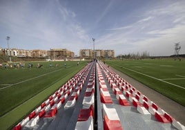 Nuevos campos de rugby de Sotoverde