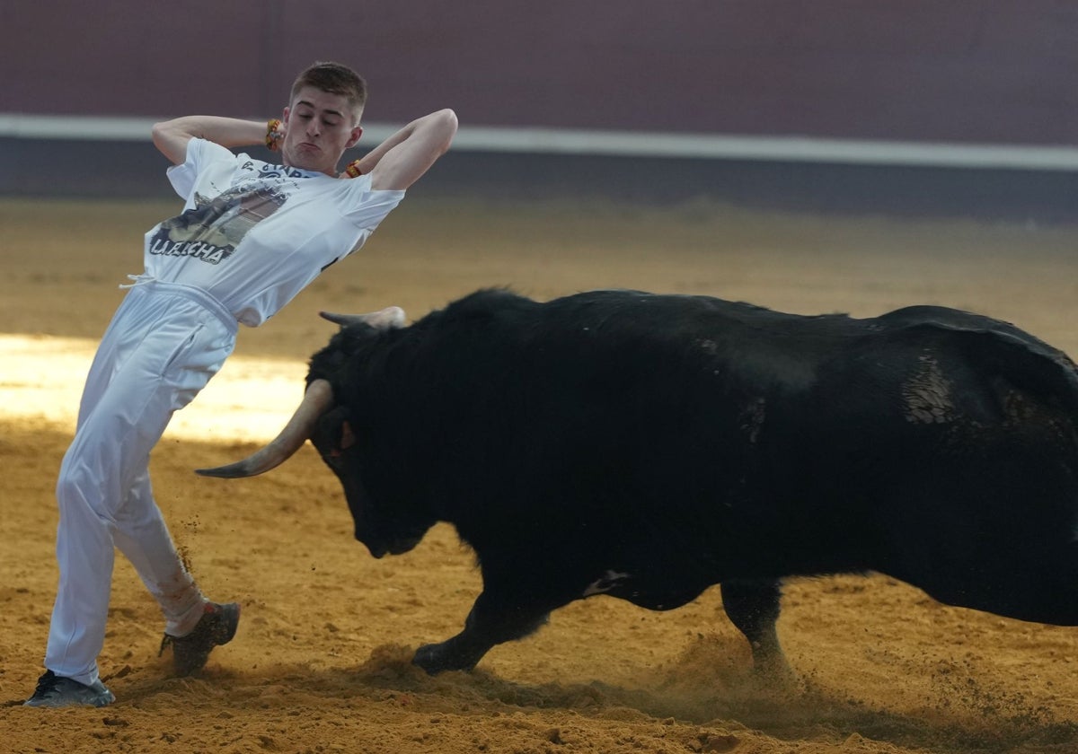 Carlos Pérez en uno de los cortes en el coso arroyano