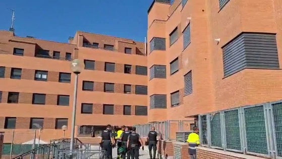 Detectados veinte enganches ilegales en Arroyovereda