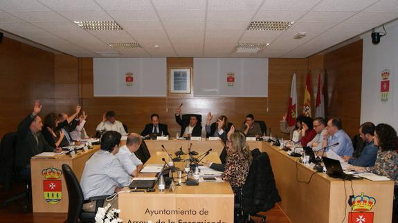 Pleno de diciembre en Arroyo