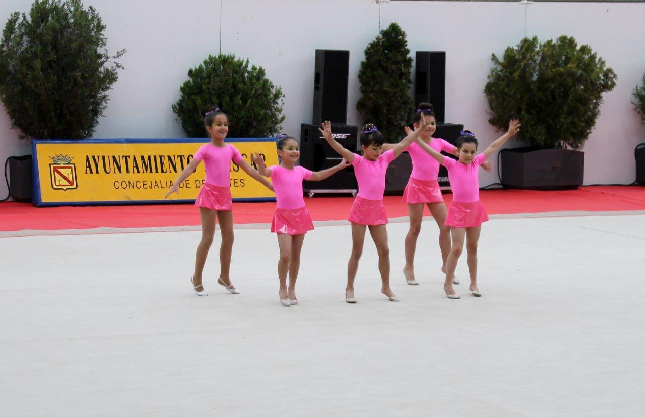 Campeonato Escolar de Gimnasia Rítmica de Castilla y León 2014 celebrado en Íscar (1/3)