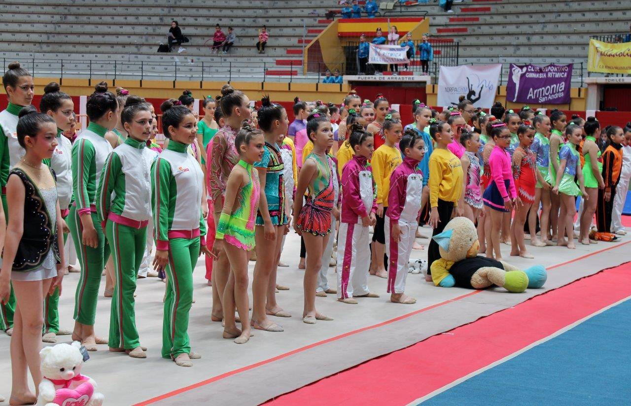 Campeonato Escolar de Gimnasia Rítmica de Castilla y León 2014 celebrado en Íscar (1/3)
