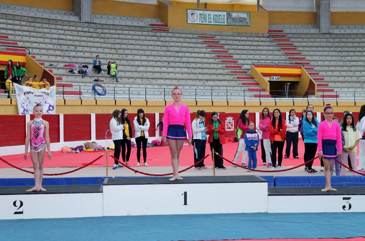 Campeonato Escolar de Gimnasia Rítmica de Castilla y León 2014 celebrado en Íscar (1/3)