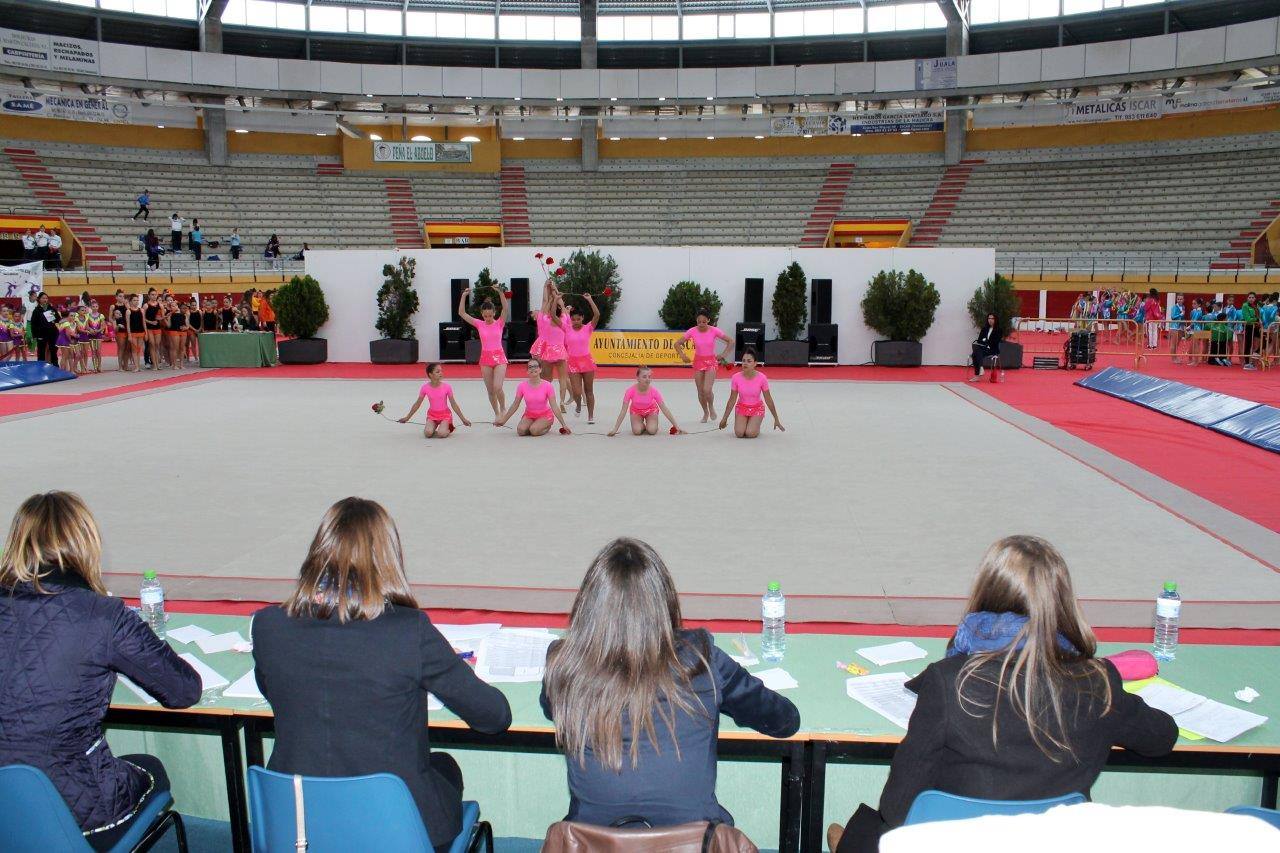 Campeonato Escolar de Gimnasia Rítmica de Castilla y León 2014 celebrado en Íscar (1/3)