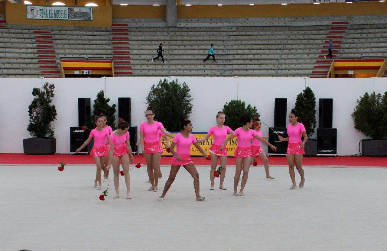 Campeonato Escolar de Gimnasia Rítmica de Castilla y León 2014 celebrado en Íscar (1/3)