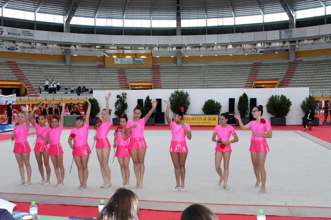 Campeonato Escolar de Gimnasia Rítmica de Castilla y León 2014 celebrado en Íscar (1/3)