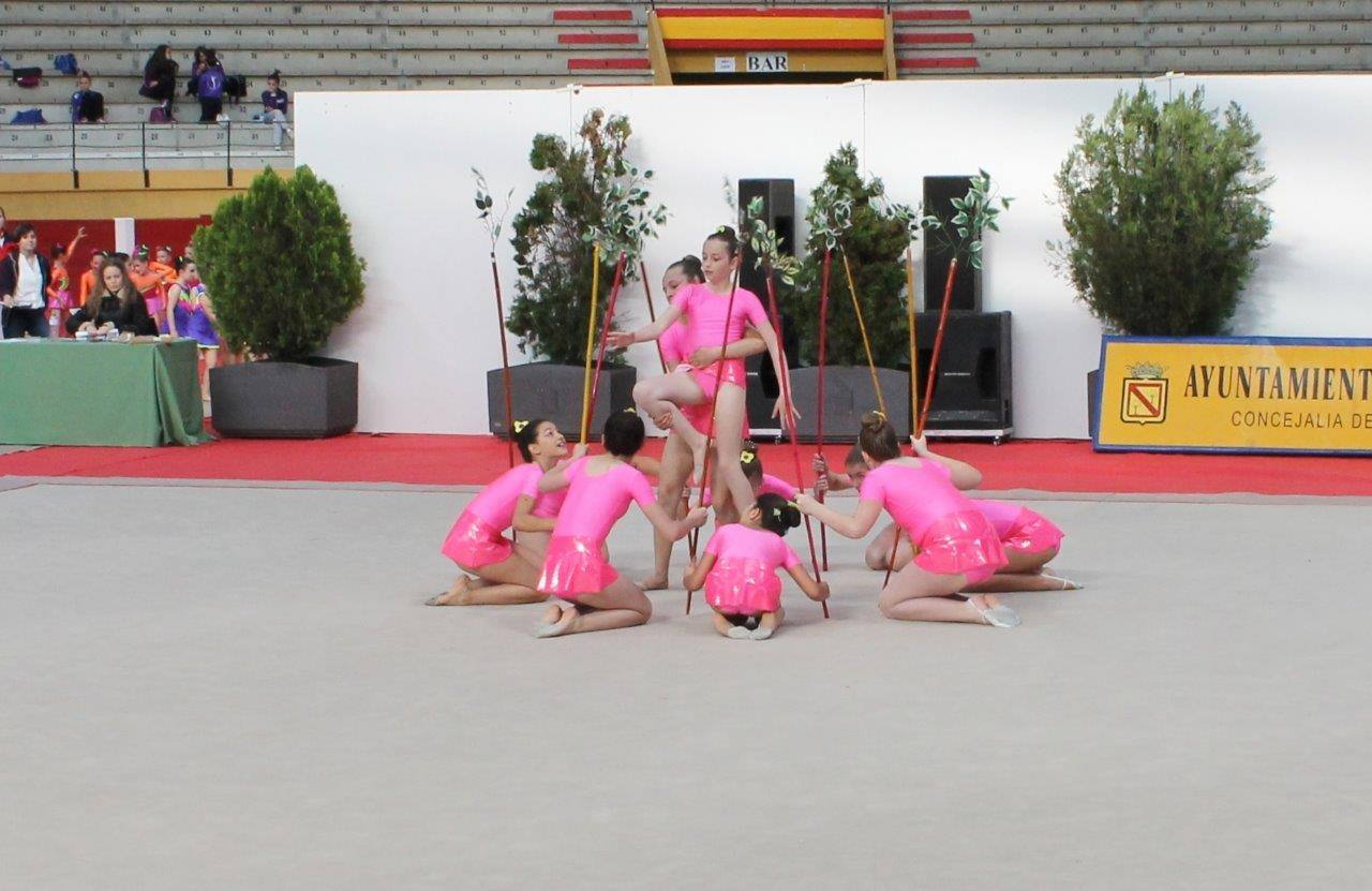 Campeonato Escolar de Gimnasia Rítmica de Castilla y León 2014 celebrado en Íscar (2/3)