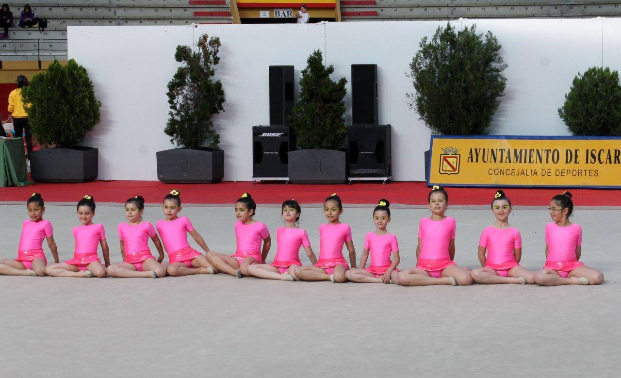 Campeonato Escolar de Gimnasia Rítmica de Castilla y León 2014 celebrado en Íscar (2/3)