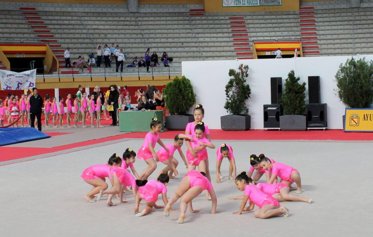 Campeonato Escolar de Gimnasia Rítmica de Castilla y León 2014 celebrado en Íscar (2/3)