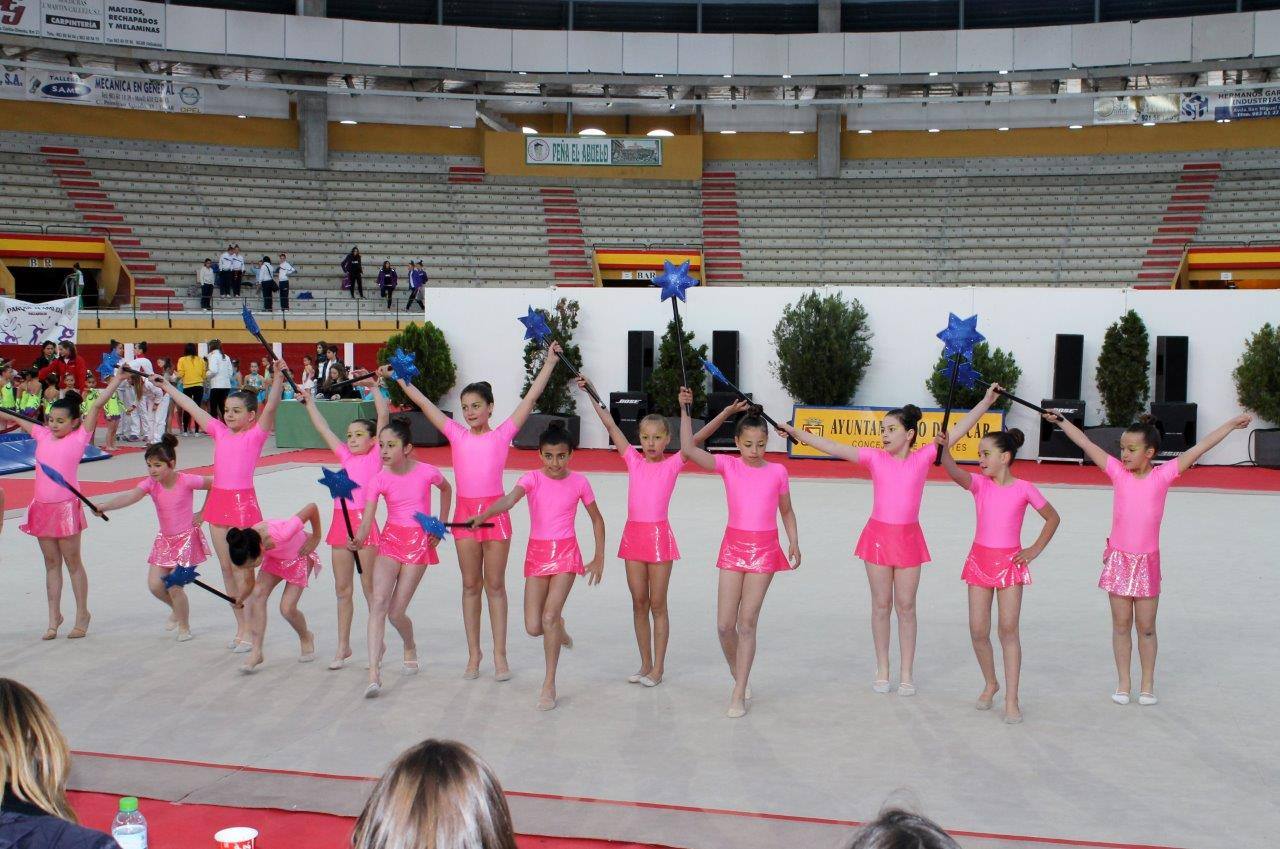 Campeonato Escolar de Gimnasia Rítmica de Castilla y León 2014 celebrado en Íscar (2/3)