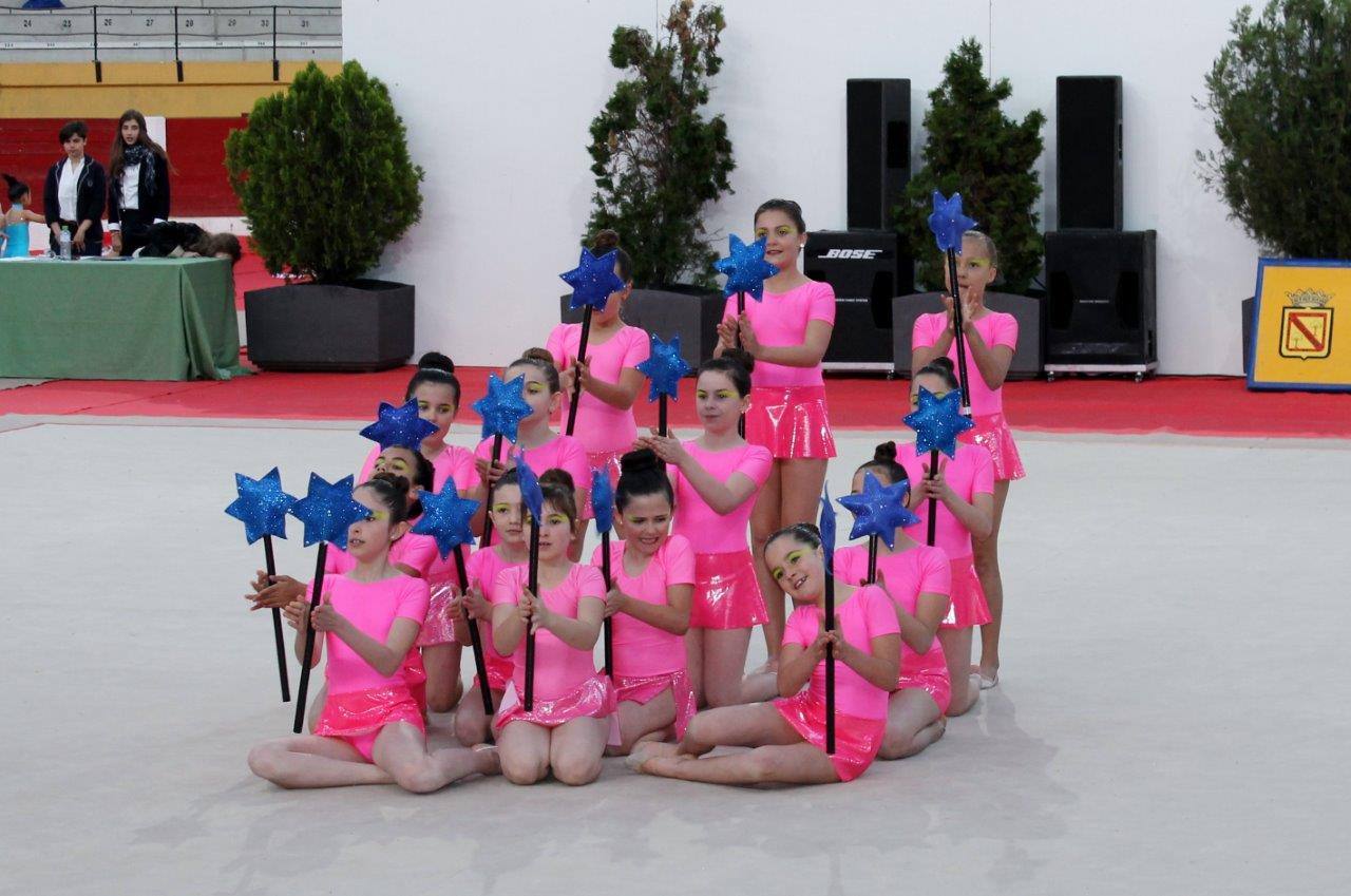 Campeonato Escolar de Gimnasia Rítmica de Castilla y León 2014 celebrado en Íscar (2/3)