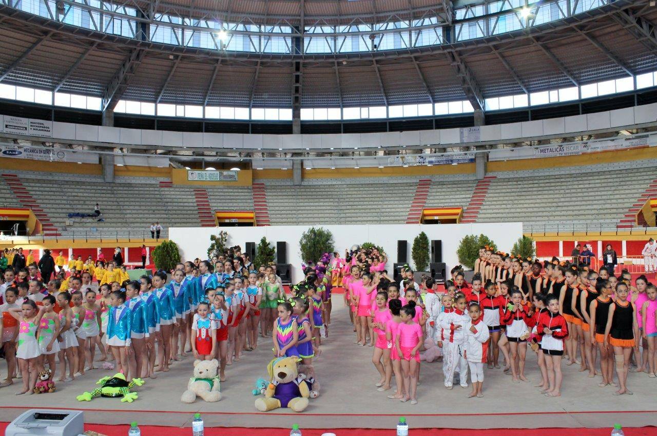 Campeonato Escolar de Gimnasia Rítmica de Castilla y León 2014 celebrado en Íscar (2/3)