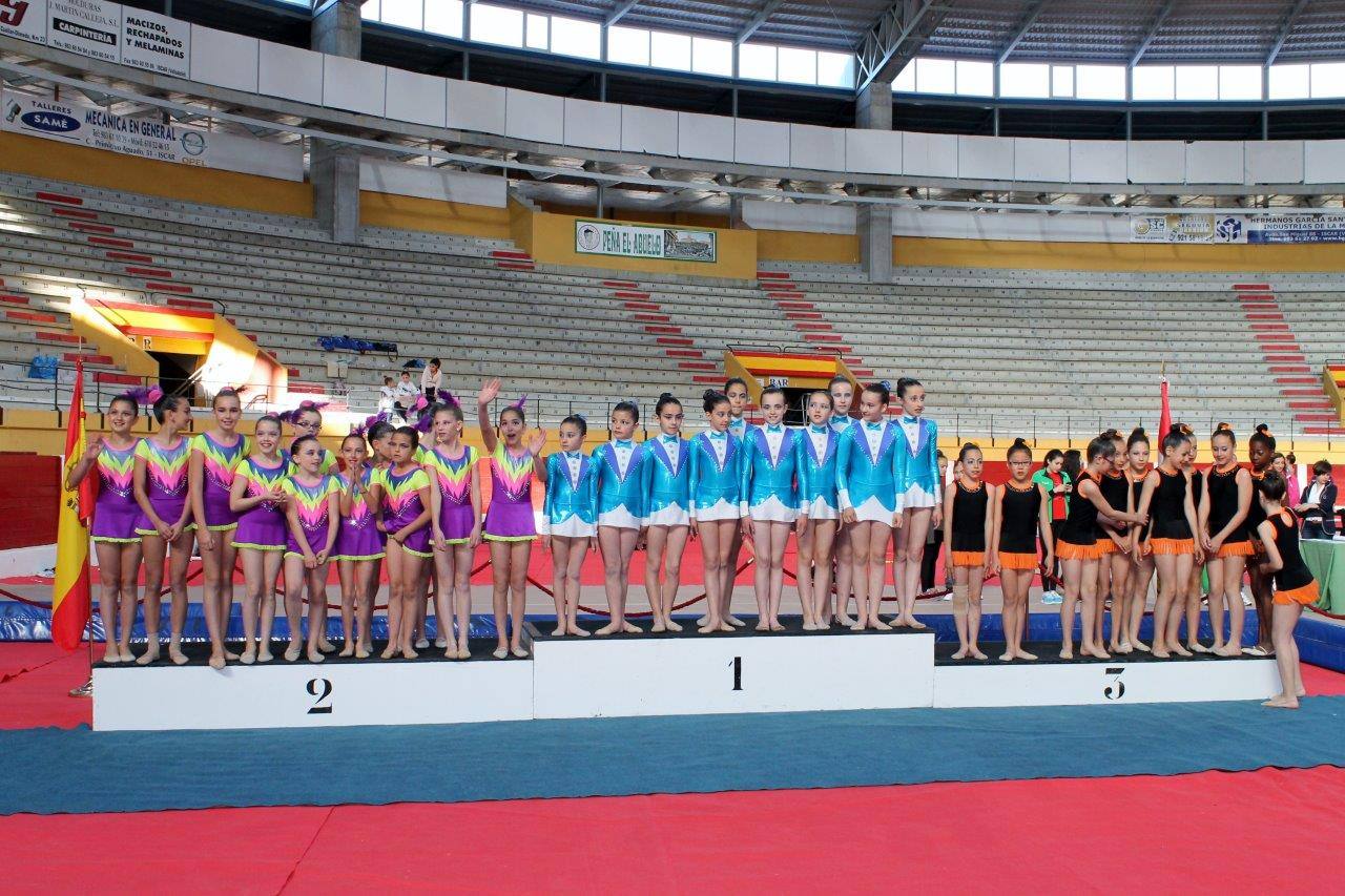 Campeonato Escolar de Gimnasia Rítmica de Castilla y León 2014 celebrado en Íscar (2/3)