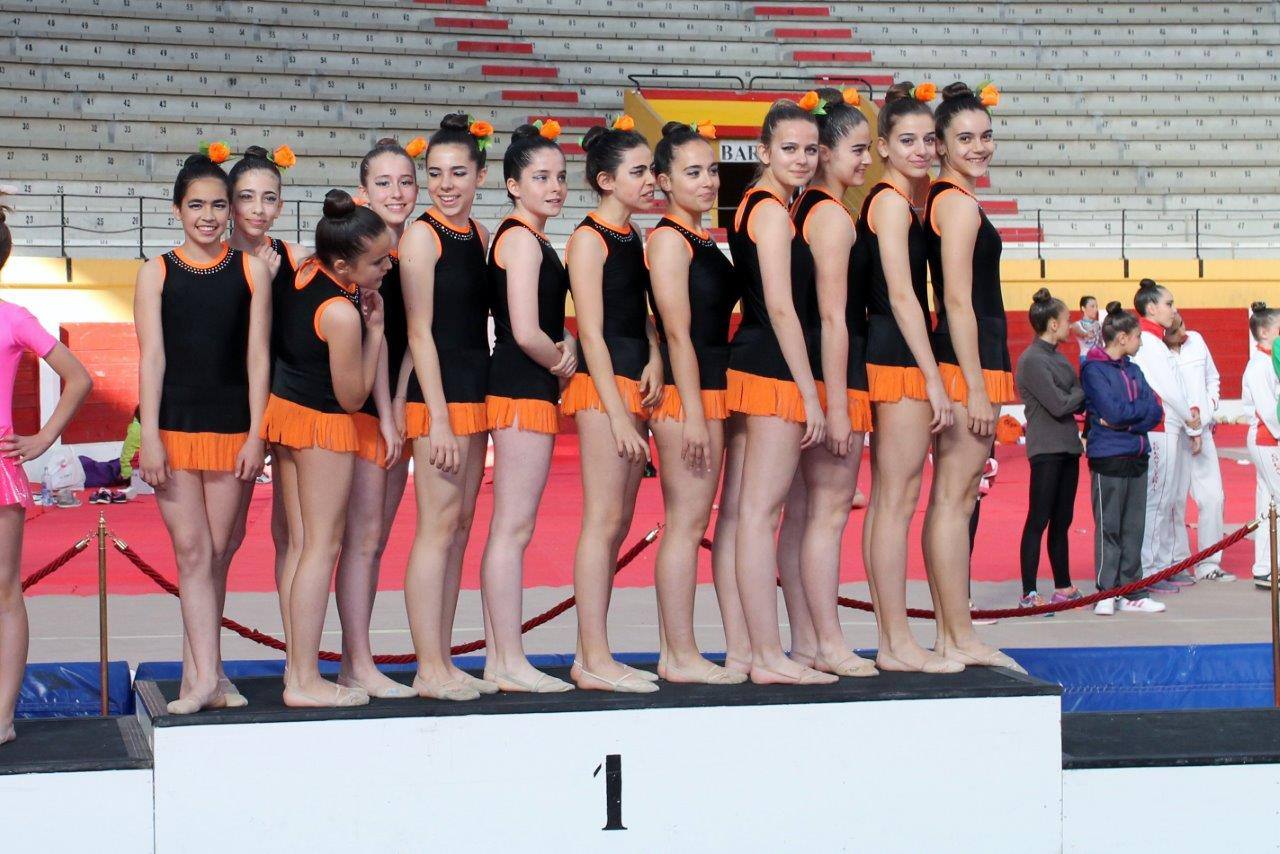 Campeonato Escolar de Gimnasia Rítmica de Castilla y León 2014 celebrado en Íscar (2/3)