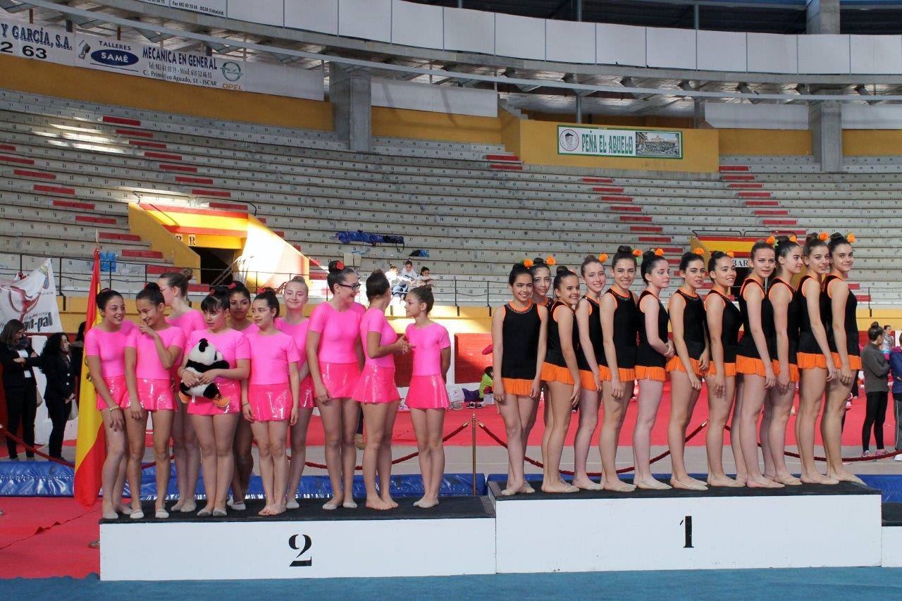 Campeonato Escolar de Gimnasia Rítmica de Castilla y León 2014 celebrado en Íscar (2/3)