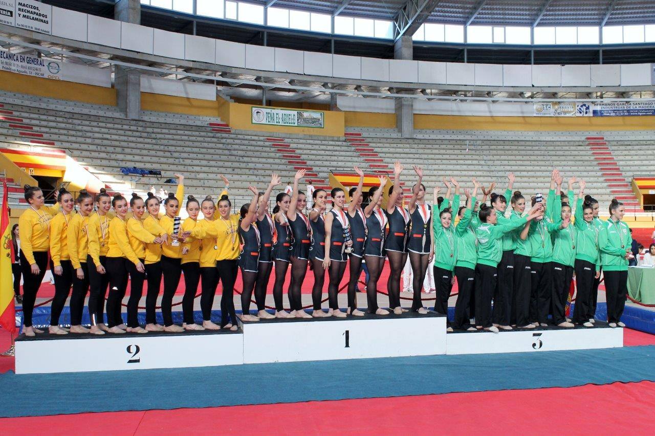 Campeonato Escolar de Gimnasia Rítmica de Castilla y León 2014 celebrado en Íscar (2/3)
