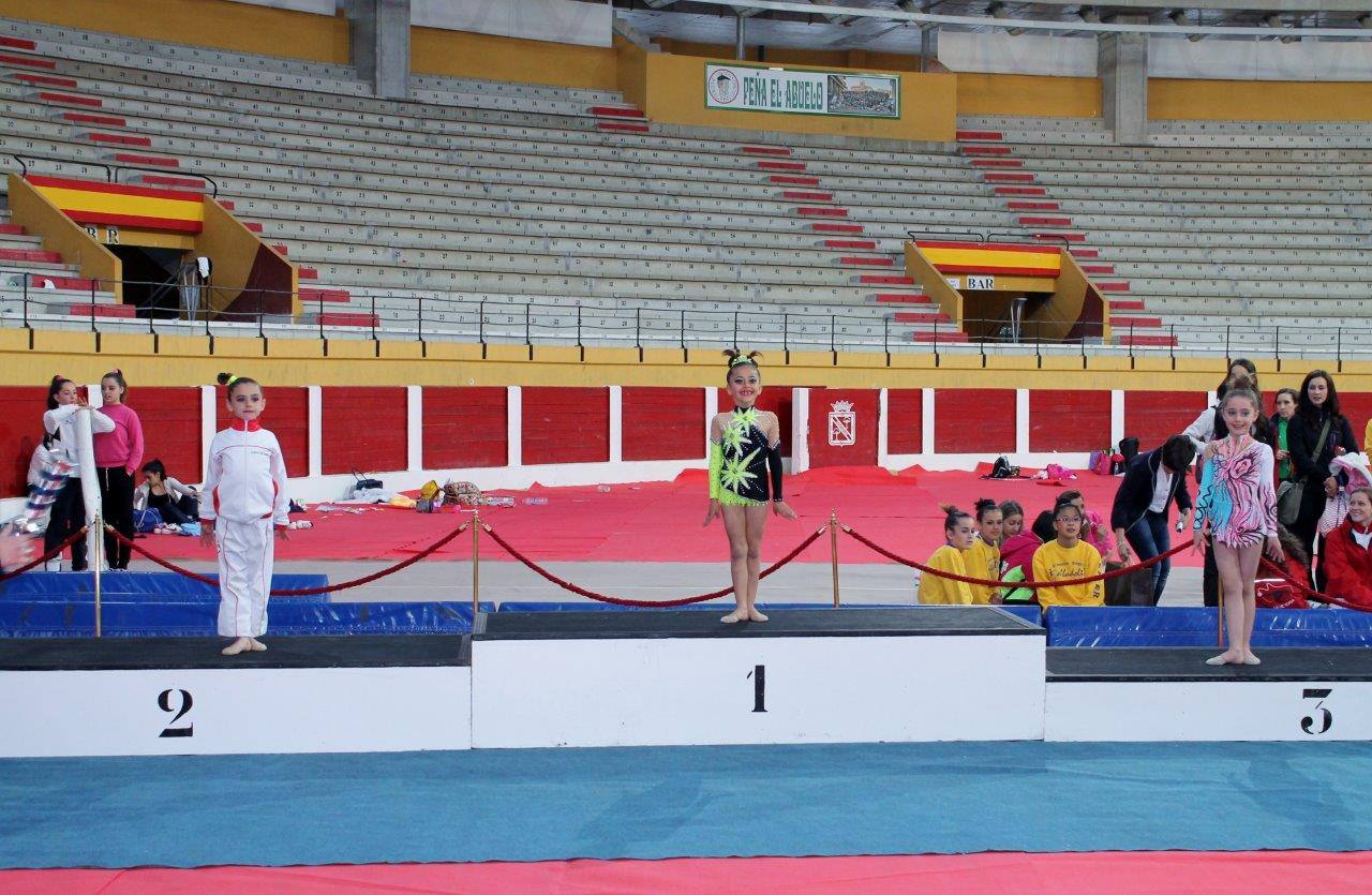 Campeonato Escolar de Gimnasia Rítmica de Castilla y León 2014 celebrado en Íscar (2/3)