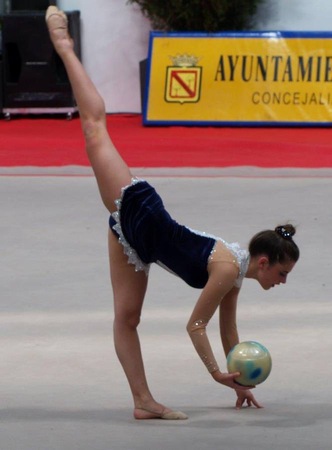 Campeonato Escolar de Gimnasia Rítmica de Castilla y León 2014 celebrado en Íscar (3/3)