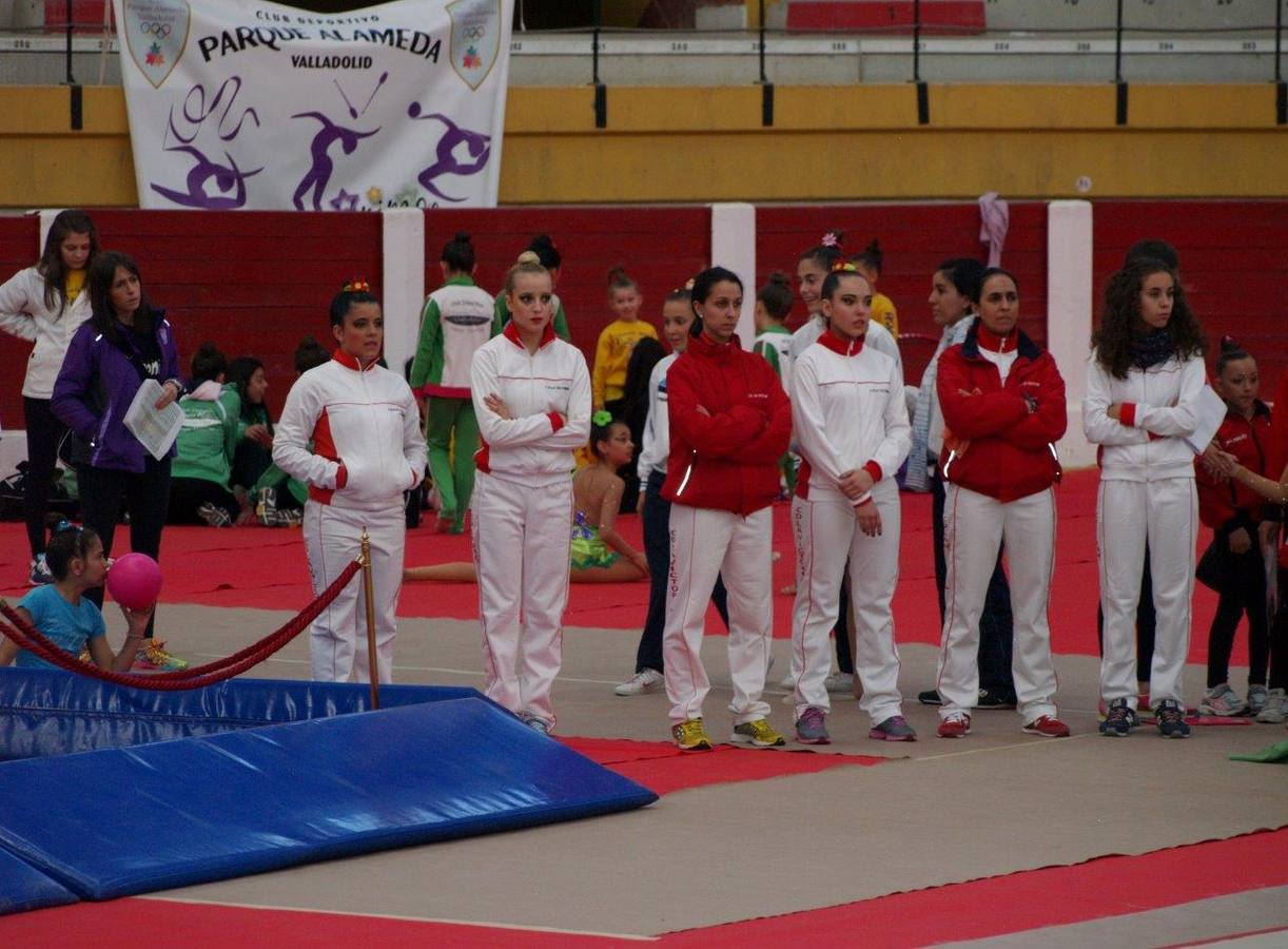 Campeonato Escolar de Gimnasia Rítmica de Castilla y León 2014 celebrado en Íscar (3/3)