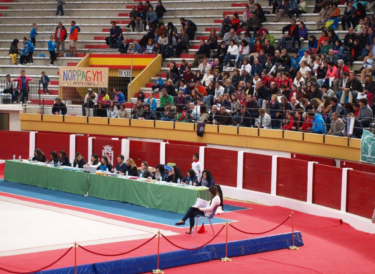 Campeonato Escolar de Gimnasia Rítmica de Castilla y León 2014 celebrado en Íscar (3/3)